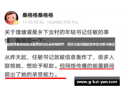 赵鹏现象背后的深层原因与社会影响解析：揭示欠薪问题的复杂性与解决路径