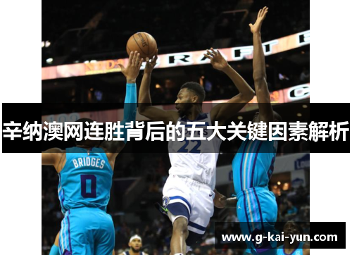 辛纳澳网连胜背后的五大关键因素解析