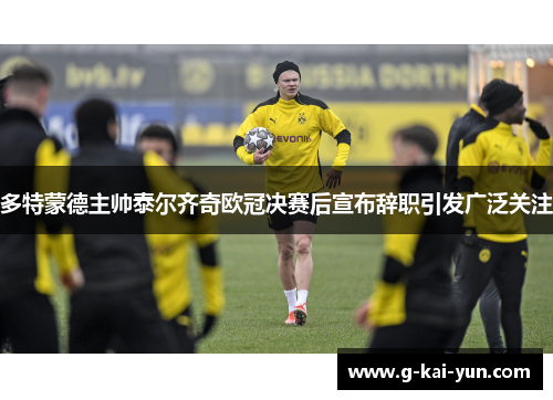 多特蒙德主帅泰尔齐奇欧冠决赛后宣布辞职引发广泛关注 多特蒙德主帅泰尔齐奇欧冠决赛后宣布辞职引发广泛关注