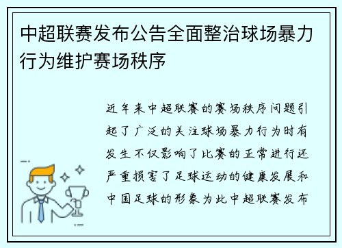 中超联赛发布公告全面整治球场暴力行为维护赛场秩序